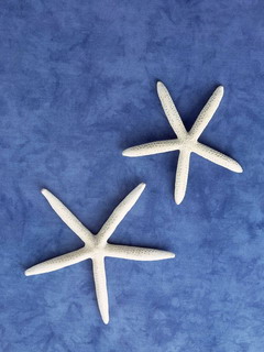 Other Wallpapers 0757